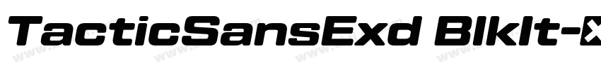 TacticSansExd BlkIt字体转换
